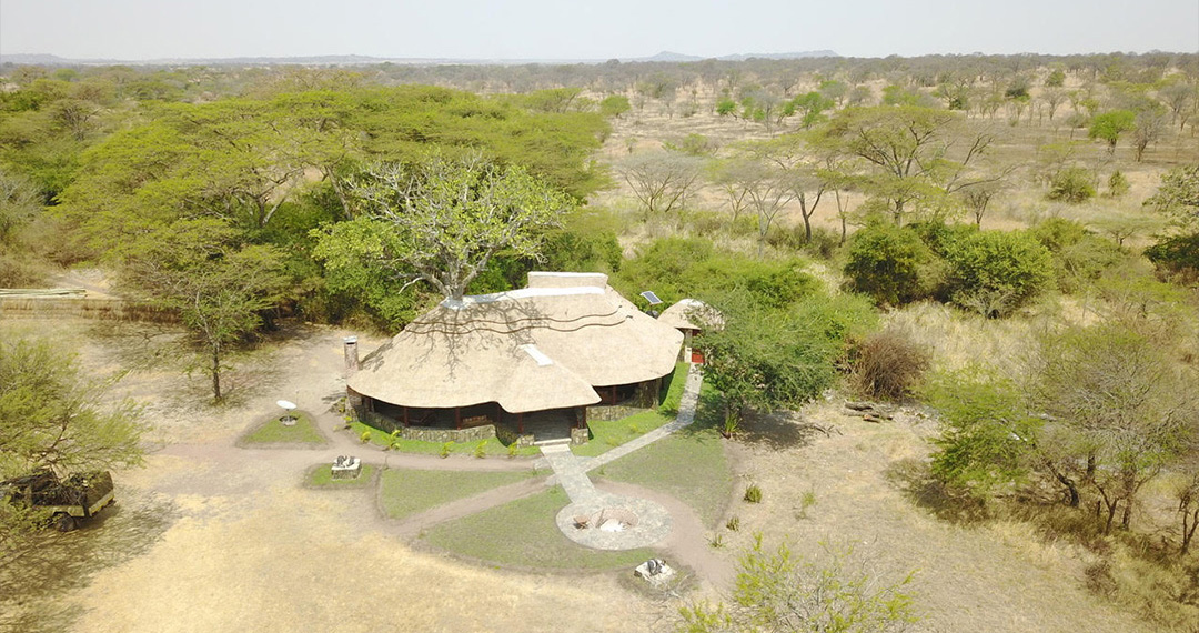 bushman safari trackers ltd
